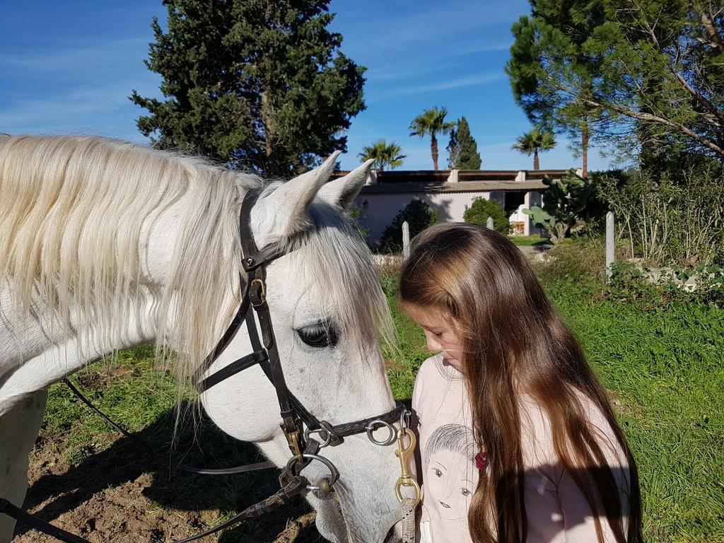 Gasthuis Finca Caballo Blanco *