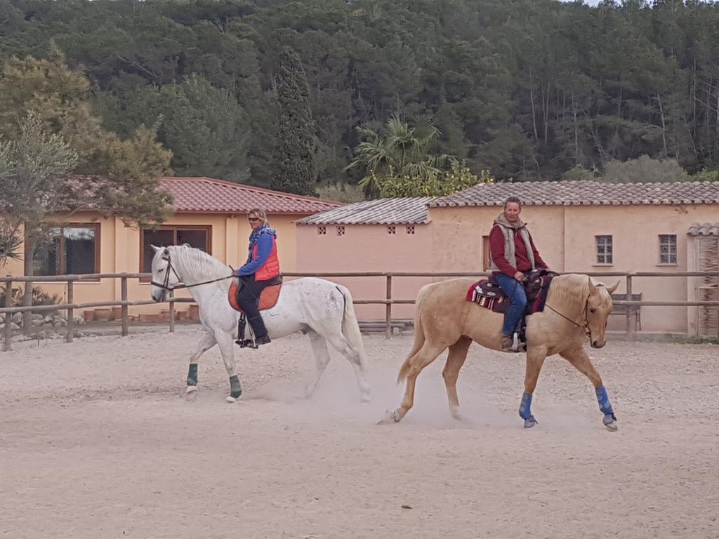 Finca Caballo Blanco Gasthuis *
