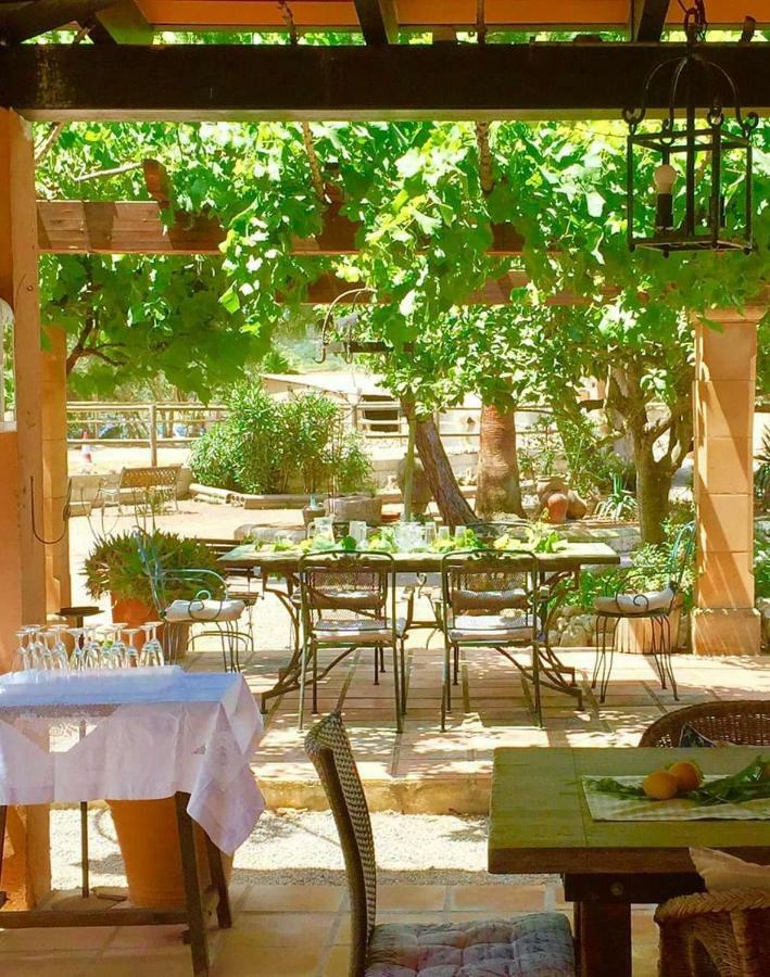 Gasthuis Finca Caballo Blanco Montuiri (Mallorca)