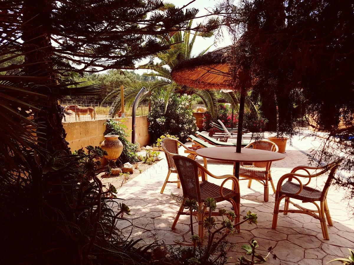 Finca Caballo Blanco Gasthuis Montuiri (Mallorca)