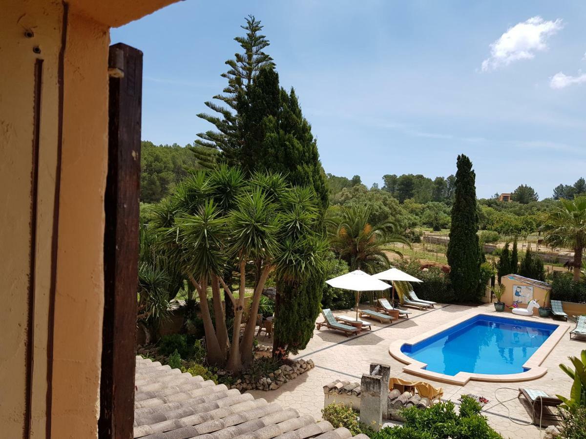 Finca Caballo Blanco Gasthuis *