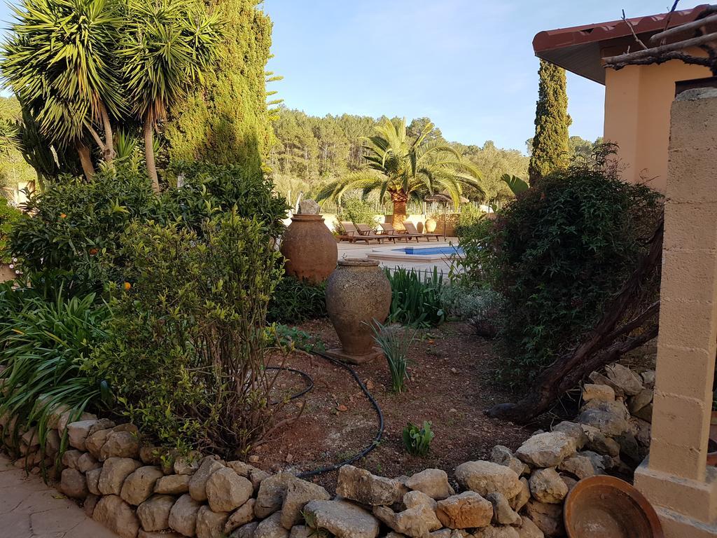 Guest house Finca Caballo Blanco *